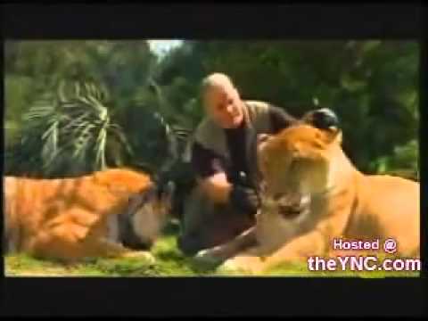 نيك بنات مع الحيوانات