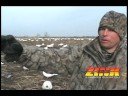 Snow Goose Spreads Using Fewer Decoys