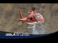 Raptor 50 A119 Koala Thunder Tiger Raptor 50 A119 Koala Thunder Tiger