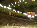 Teddybear Toss at Winterhawks Game