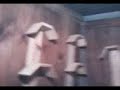El palomar de luca.mp4