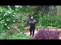 Canción Española (El Niño Judio)