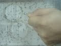 1000 Mosquito Repellent Testing 1000 Mosquito Repellent Testing