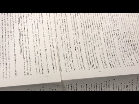 動画