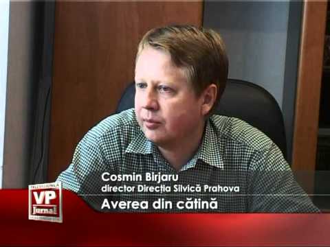 Averea din catina
