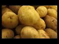 Tabla periódica de los Alimentos 1/4 Tabla periódica de los Alimentos 1/4