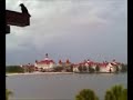 bird killed by lightning