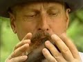\"Imieniny Soltysa\"-Jawornik 2001 \"Imieniny Soltysa\"-Jawornik 2001