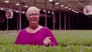 Increase Crop Yields - LED Grow Lights Boost Success of Commercial Microgreens Greenhouse.