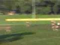 2008 rd8 St Bedes/Mentone Tigers v Old Ivanhoe