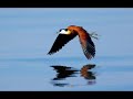 click link for stereo sound
http://www.youtube.com/watch?v=gbxzwowq0wq&fmt=18

sonata for violin & piano no. 24 in f major, k. 376 (k. 374d)
i. allegro



andew manze - baroque violin
richard egarr - fortepiano
classical standard pitch a = 430 hz



harmonia mundi