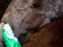 Me And Rockie In Stable! Me And Rockie In Stable!