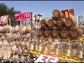 Visita a Tequila Sauza en Tequila Jalisco