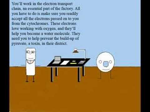 A Meeting with Mr. Mitchell