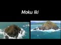 Man vs Wild fraud v2.0: Desert Island Loser