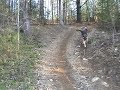 Four-Wheelin\