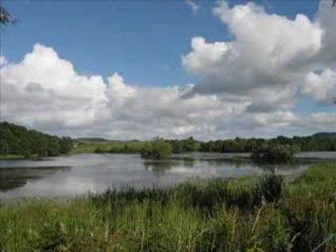 Ayrshire