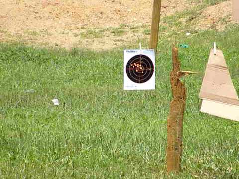 Beretta Bite
