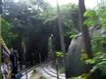 videos de kabban park 20 july 2008