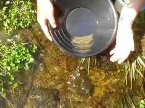 goud zoeken in de harz 3