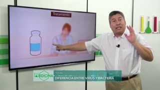 Virus y Bacterias