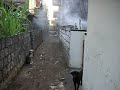 Kuta, Bali alley Kuta, Bali alley
