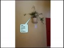 EDIF�CIO S�O JOS�