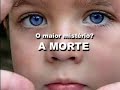 A MAIS BELA DE TODAS AS COISAS - MADRE TEREZA DE CALCUT�