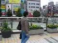 Hachioji  八王子