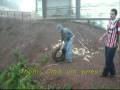 Sei lá!.wmv