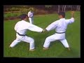 Sochin, Kenneth Funakoshi, Kata and Bunkai