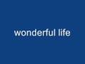 wonderful life