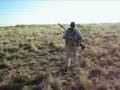 YouTube - Colorado Multigun 2008 Steel Safari Rifle Match