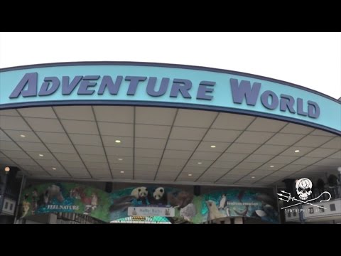 From Taiji to Tanks: A Look at the Barren Lives of Captive Dolphins