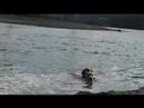 Xena y Teyla on the beach Xena y Teyla on the beach