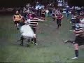 highlights