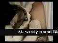 Ammi