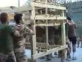 Festa dei Gigli in afghanistan.wmv