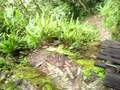 Climbing Putucusi Mountain 1