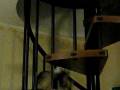 videos de furetto ferret: scalata con peluche su scala a chiocciola