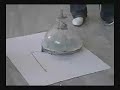 1rst students turtle experiment