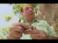 Video biodiesel