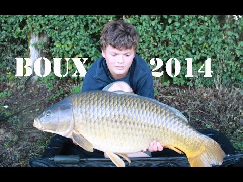 'Carp Team' Visit Boux '14, Nov 2014 'Carp Team' Visit Boux '14, Nov 2014