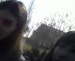 Le-poumon-par-Sow-So