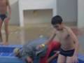 tonto-al-agua