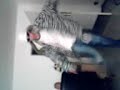 ma bro is noch singel hehe