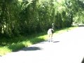 The Emu in Tarkington Prairie, TX