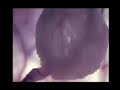 grindcorenegativo-liveintape-zemos9801-welovecinemanet.htm