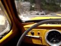 Carocha amarelo