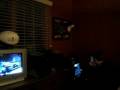 videos de New Year 2009